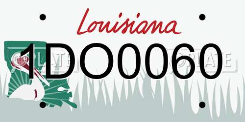 1DO0060 Louisiana License Plate