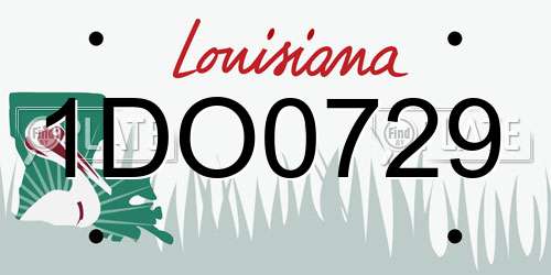 1DO0729 Louisiana License Plate