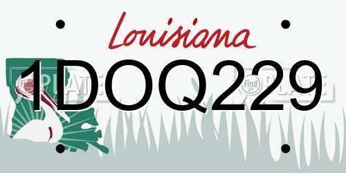 1DOQ229 Louisiana License Plate