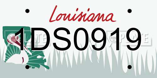 1DS0919 Louisiana License Plate