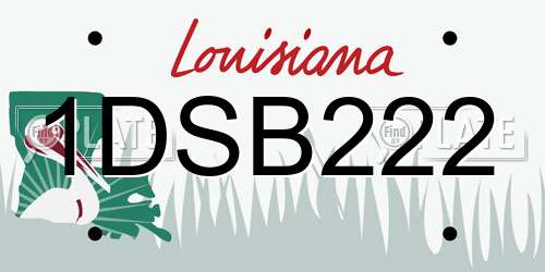 1DSB222 Louisiana License Plate
