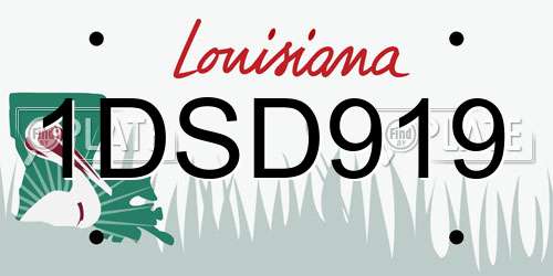 1DSD919 Louisiana License Plate