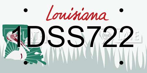 1DSS722 Louisiana License Plate