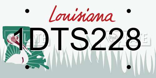 1DTS228 Louisiana License Plate