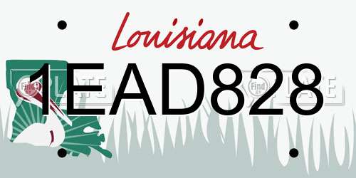1EAD828 Louisiana License Plate