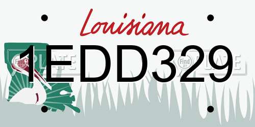 1EDD329 Louisiana License Plate