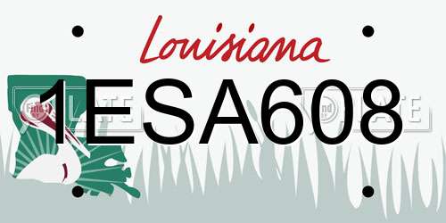 1ESA608 Louisiana License Plate