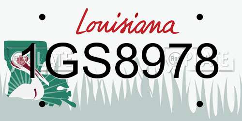 1GS8978 Louisiana License Plate