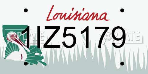 1IZ5179 Louisiana License Plate