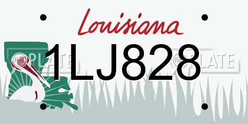 1LJ828 Louisiana License Plate