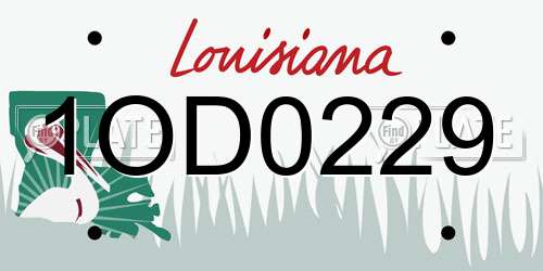 1OD0229 Louisiana License Plate
