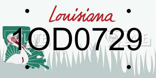 1OD0729 Louisiana License Plate