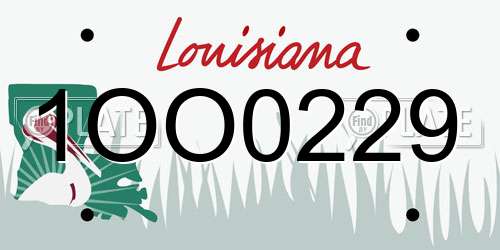1OO0229 Louisiana License Plate