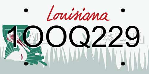 1OOQ229 Louisiana License Plate