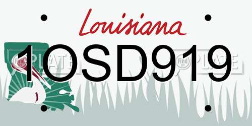 1OSD919 Louisiana License Plate
