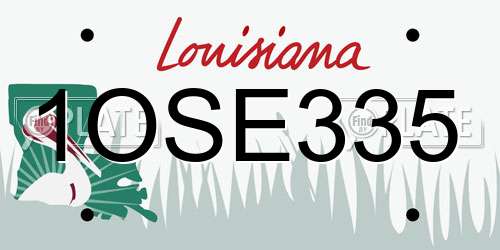 1OSE335 Louisiana License Plate