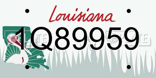 1Q89959 Louisiana License Plate