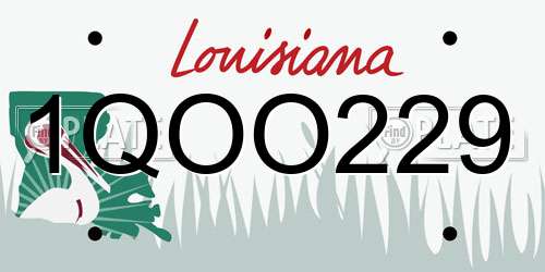 1QOO229 Louisiana License Plate