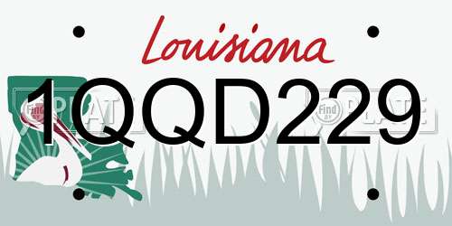 1QQD229 Louisiana License Plate