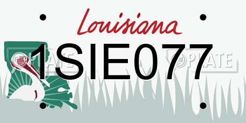 1SIE077 Louisiana License Plate