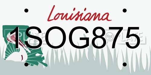 1SOG875 Louisiana License Plate