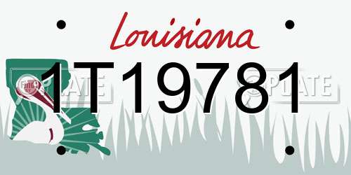 1T19781 Louisiana License Plate