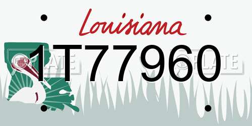 1T77960 Louisiana License Plate
