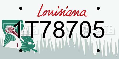 1T78705 Louisiana License Plate