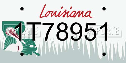 1T78951 Louisiana License Plate