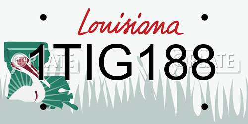 1TIG188 Louisiana License Plate