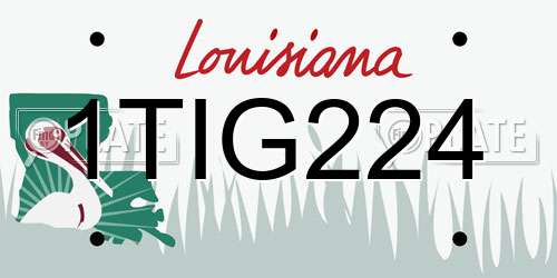 1TIG224 Louisiana License Plate