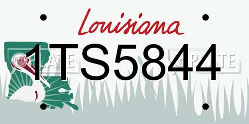 1TS5844 Louisiana License Plate