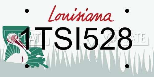 1TSI528 Louisiana License Plate