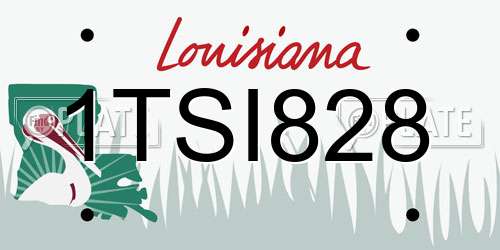 1TSI828 Louisiana License Plate