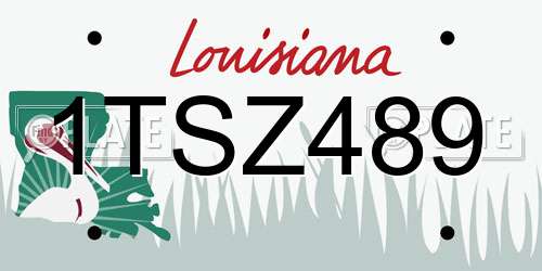 1TSZ489 Louisiana License Plate