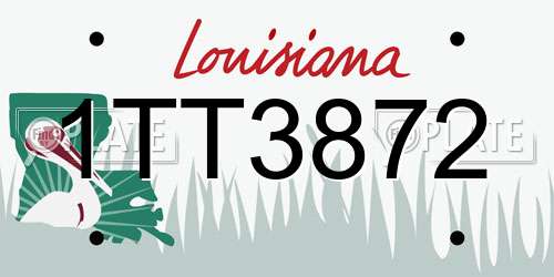 1TT3872 Louisiana License Plate