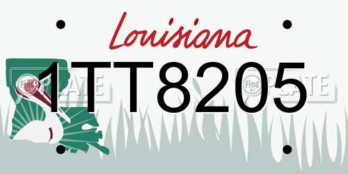 1TT8205 Louisiana License Plate