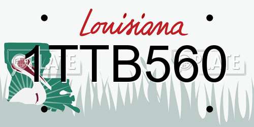 1TTB560 Louisiana License Plate