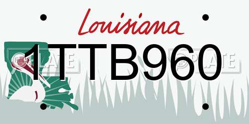 1TTB960 Louisiana License Plate