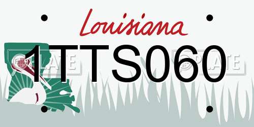 1TTS060 Louisiana License Plate