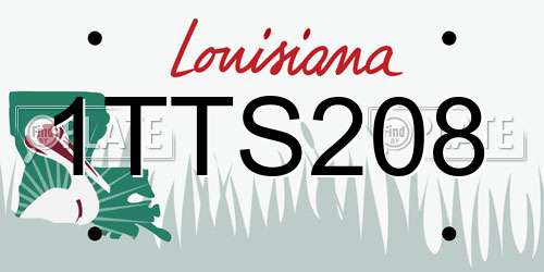 1TTS208 Louisiana License Plate
