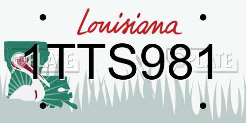 1TTS981 Louisiana License Plate