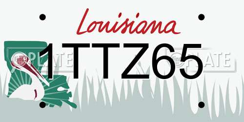 1TTZ65 Louisiana License Plate
