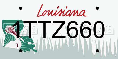 1TTZ660 Louisiana License Plate