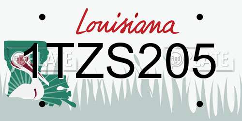 1TZS205 Louisiana License Plate