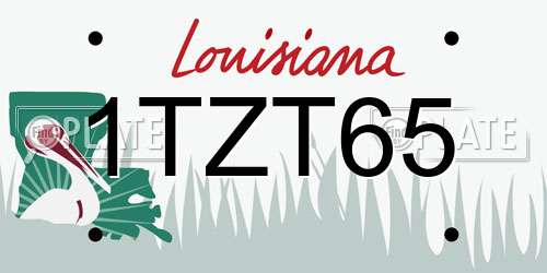 1TZT65 Louisiana License Plate