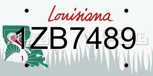 1ZB7489 Louisiana License Plate
