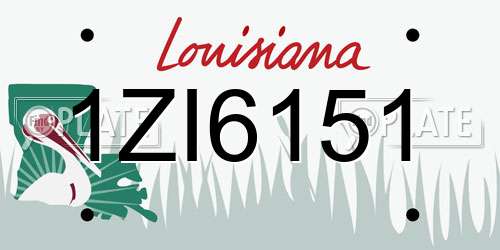 1ZI6151 Louisiana License Plate