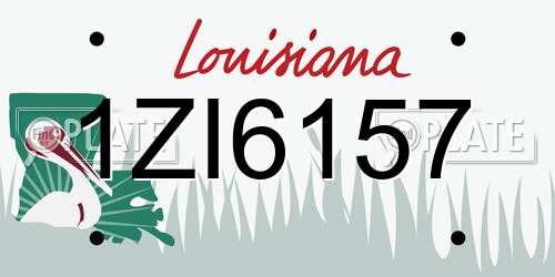 1ZI6157 Louisiana License Plate