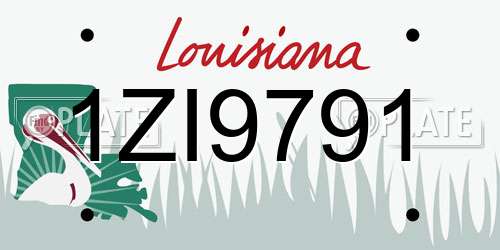 1ZI9791 Louisiana License Plate